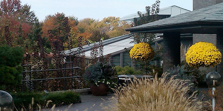 Image Alt Text